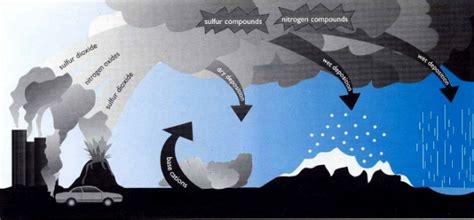 Acid Rain and Inspectors: Buildings at Risk - InterNACHI®