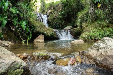 Sucesi N De Cascadas En El R O Arroyo De Agua Chocando Con Rocas En Un