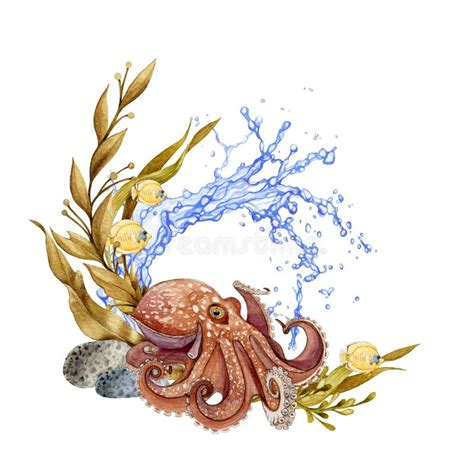 Octopus With Coral Reef Fauna Watercolor Illustration Beautiful