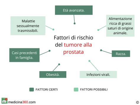 Tumore Alla Prostata Sintomi Cure Sopravvivenza E Prevenzione