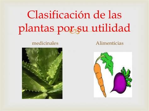 Clasificación de las plantas por su utilidad Quizizz