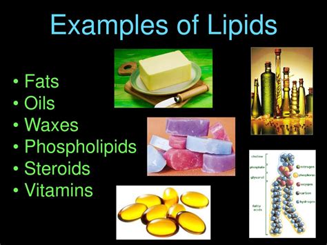 Lipid Examples