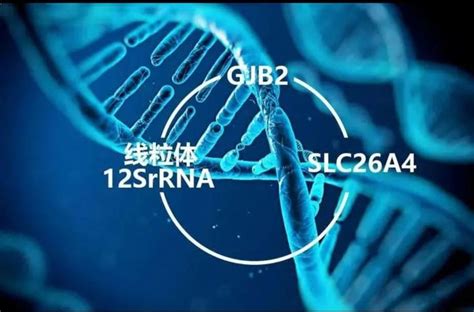 耳聋基因检测——破解遗传性耳聋密码 知乎