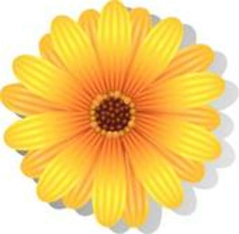 Yellow Daisy Svg