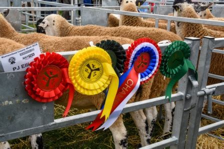 County Show – Westmorland County Agricultural Society