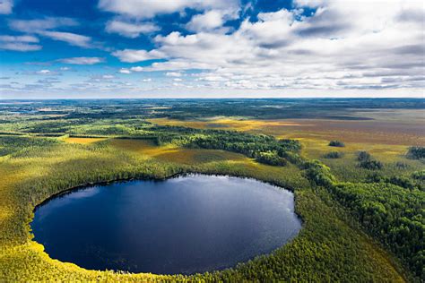 Васюганские болота заповедник (76 фото)