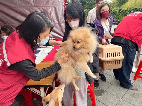 市政新聞 飼主未移轉寵物晶片 新北市動保處開罰11萬元 新北市政府