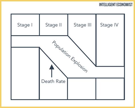 The Demographic Transition Model - Intelligent Economist