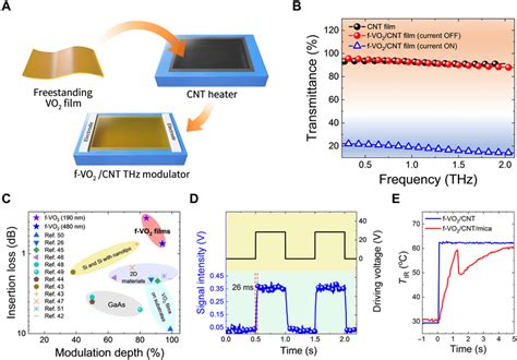 Thz Modulator Based On The F Vo Cnt Film A Schematic Diagram For