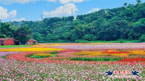 【桃園】愛在秋天‧大溪月眉花海 健行筆記