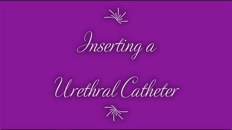 Insertion Of The Urethral Catheter Youtube