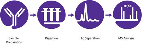 Peptide Mapping Lc Ms Ms Analysis Workflow For Adalimumab