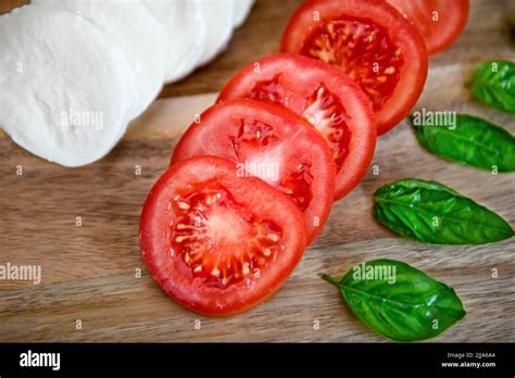 Tomatoes On The Vine Solanum Lycopersicum Red Tomato Basil