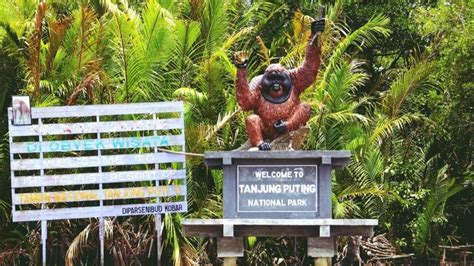 Taman Nasional Kalimantan Tengah Homecare