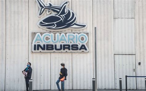 Bi Loga De Acuario Inbursa Muri De Asfixia Por Sumersi N Fgjcm La