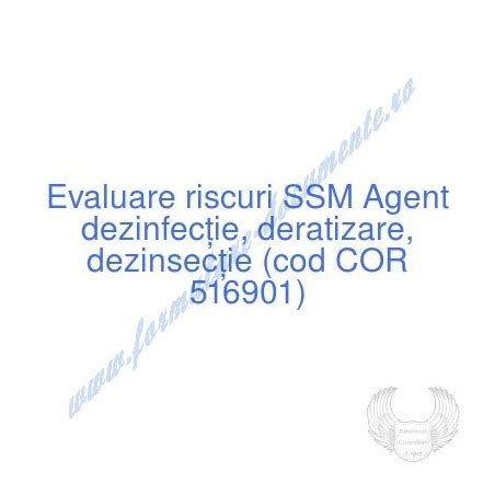 Evaluarea Riscurilor De Accidentare I Mboln Vire Profesional Pentru