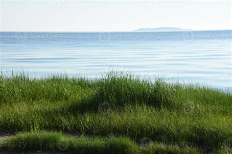 Lush Thick Green Beach Grass On The Ocean 9302342 Stock Photo At Vecteezy