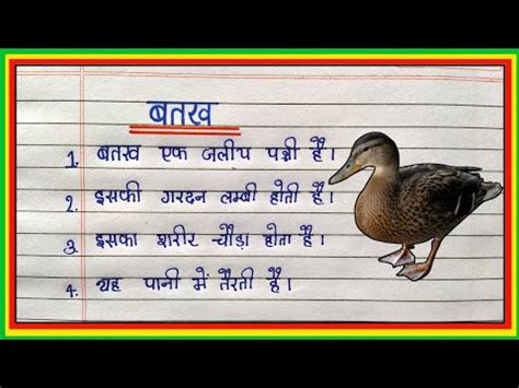 10 Lines on Duck बततख पर नबध 10 Lines on Duck in Hindi Essay on Duck