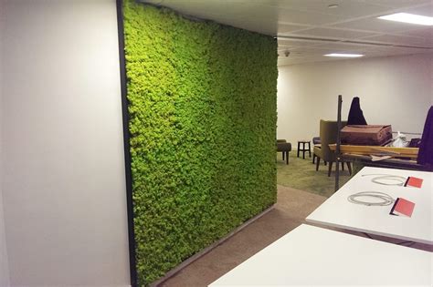 Living & Moss Walls | Plant Design