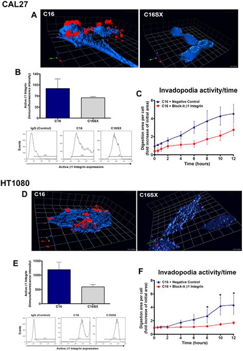 Integrin Regulates Invadopodia Activity Induced By C In Tumor