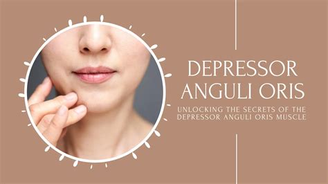 Depressor Anguli Oris Muscle Functions Disorders And Treatments