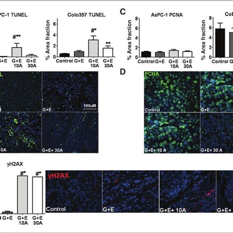 Cox 2 Inhibition Enhances Therapy Induced Effects On Cell Survival And