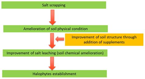 Soil Systems Free Full Text Reclamation Of Salt Affected Land A Review