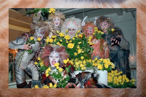 Cats Broadway Cast 2016 Cats Musical Returning To Broadway Cbs New