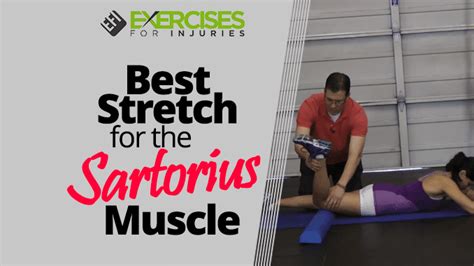 Best Stretch For The Sartorius Muscle Sartorius Muscle Sartorius