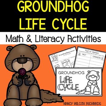 Groundhog Life Cycle by Nancy Wilcox Richards | TpT