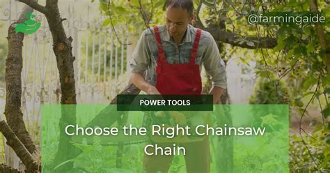 How To Choose The Right Chainsaw Chain For Your Pruning Needs