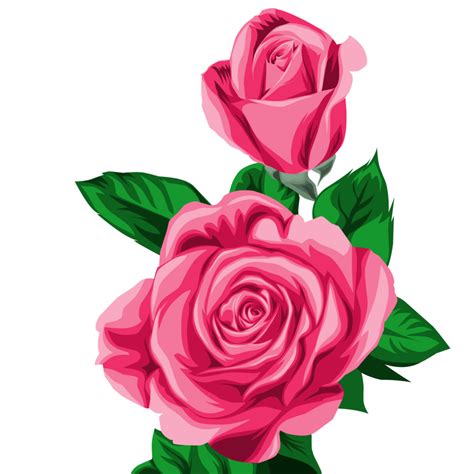 Rosas Rojas Pintadas Png