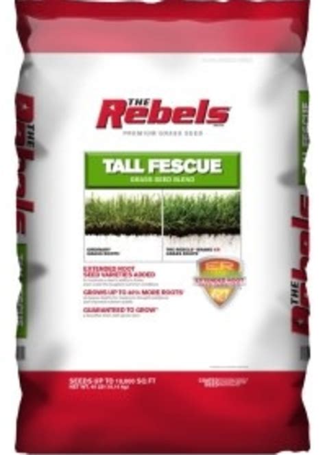 Pennington Rebel Tall Fescue Grass Seed 40lb Bag Acors Country Store