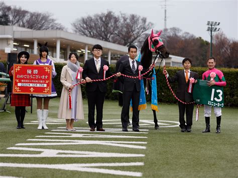 【京都牝馬ステークス2023予想】阪神芝1400mで好成績の騎手は？ 騎乗予定騎手の過去10年成績競馬予想データ 競馬まとめ