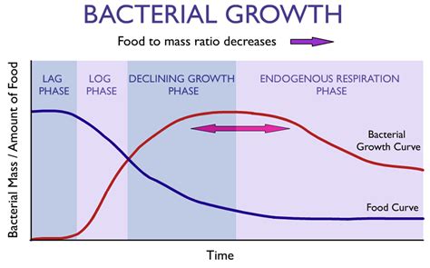 Biological Growth Curve In Aerated Stabilization Basins Ebs