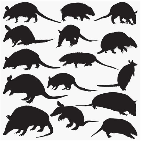 Premium Vector Armadillos Silhouettes