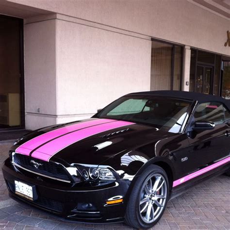 Black Mustang With Pink Stripes