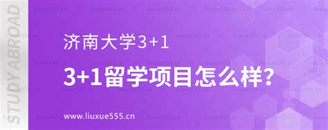 济南大学31留学项目怎么样？ 济南大学出国留学 留学择校一点通