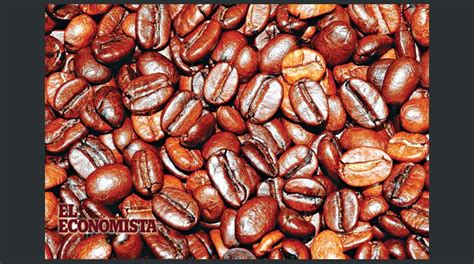 Ingresos por exportación de café hondureño suben 326 9 en primer mes