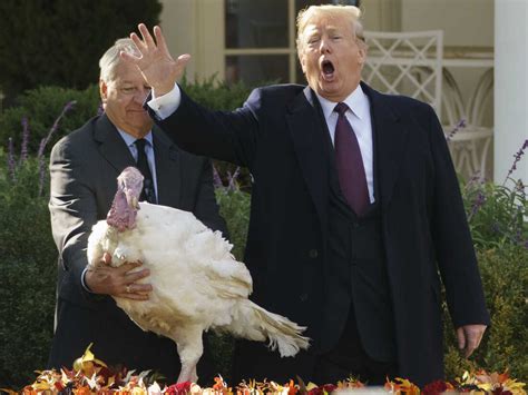 Trump Pardons Thanksgiving Turkeys NPR