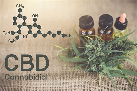 How To Use Cbd Oil A Complete Guide To Using Cbd