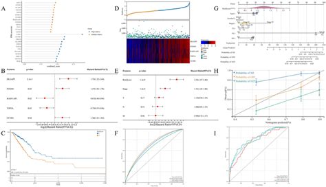 Pbk Derived Gene Modeling For Predicting Prognosis Of Luad Patients