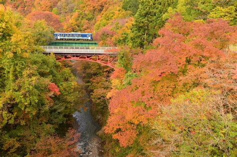 秋の紅葉を車窓から。鉄道ローカル線で出会える絶景旅（see The Beautiful Red Leaves From Your Train