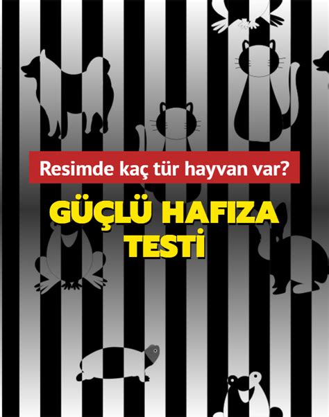 Güçlü hafıza testi Resimde kaç tür hayvan var Hafızanı test ediyoruz