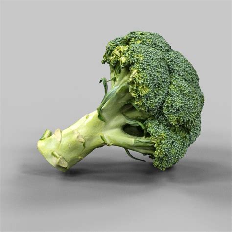 3d Model Broccoli Piece Of Vr Ar Low Poly Cgtrader