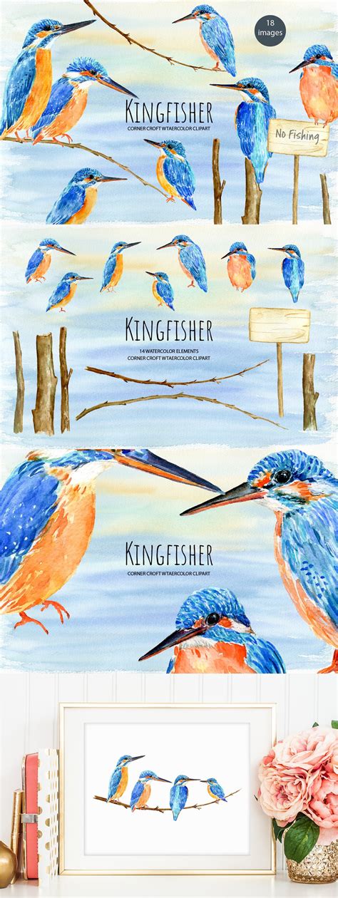 Bird Kingfisher Illustration Animal Illustrations Creative Market