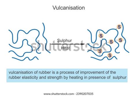 Vulcanization Chemical Process Enhancing Rubber By Stock Vector ...