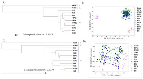 Insects Free Full Text Development Of Nuclear DNA Markers For