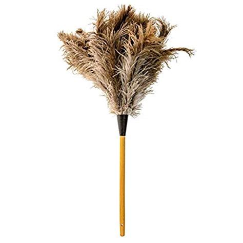 Best Ostrich Feather Duster In 2024