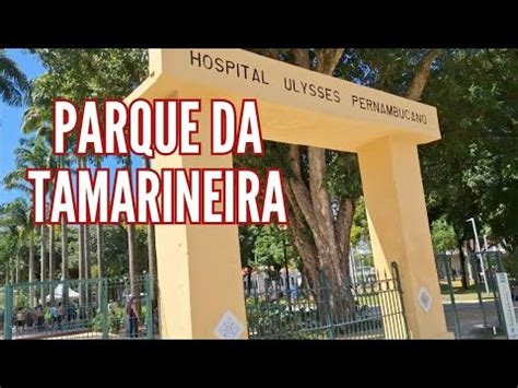 Conhe A O Novo Parque Do Recife Parque Da Tamarineira Youtube